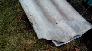 Лучшие советы по укрытию винограда на зиму. Самый простой и надежный способ .