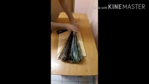 КАК СДЕЛАТЬ БЕСПЛАТНУЮ ВЕНИК ПЛАСТИКОВОЙ БУТЫЛИКИ В ДОМАШНИХ УСЛОВИЯХ!!!!!