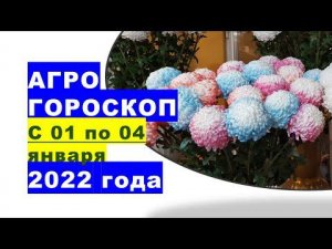 Агрогороскоп с 01 по 04 января 2022 года