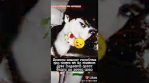 Садои Баланд♥️ меброя ноладор🥀 1 (Текст песни)