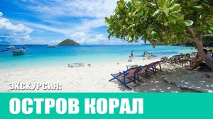 КОРАЛЛОВЫЙ ОСТРОВ, остров Корал | CORAL ISLAND 2024