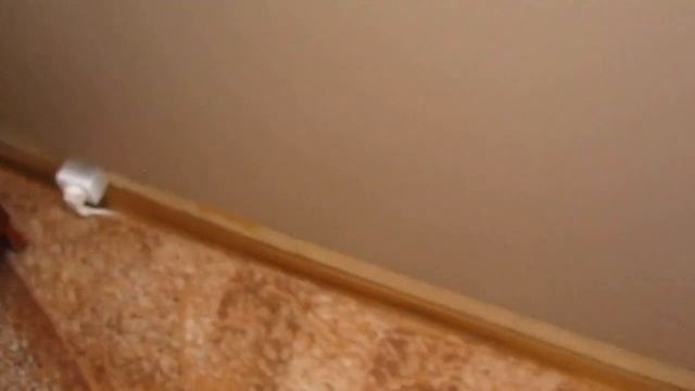 Обзор инфракрасных керамических обогревателей Венеция Часть-2 смотреть онлайн