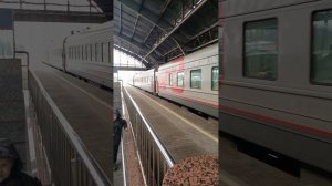 прибытие поезда Санкт-Петербург-Калининград на южный вокзал 27.02.24