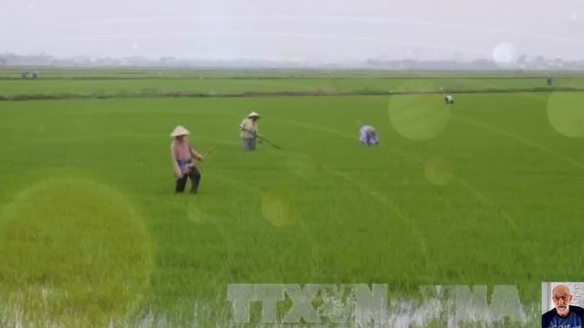 TIME KILLS GRAVITY - EXPLORERS' GUIDE TO SCIFI WORLD - CLIF_HIGH AUDIO смотреть онлайн