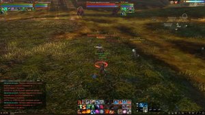 ArcheAge pet " Обращенная ведьма"