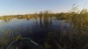 Открытие охоты 2020 Убинское озеро , день 2. Разнообразие дичи и плохие патроны