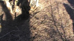 КОПАЕМ ЖЕЛЕЗО