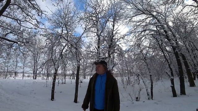 зимняя сказка.шашлык.хорошо отдохнули. смотреть онлайн