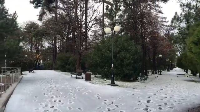 В Сочи выпал первый снег🌴 The first snow fell in Sochi! It's magic!⭐️