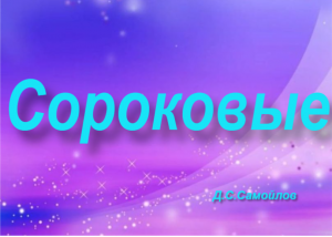 "Сороковые"Д.С.Самойлов-стихотворение