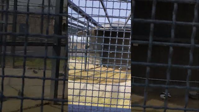 Харківський Зоопарк, весна 2023 рік. Відео 4. смотреть онлайн