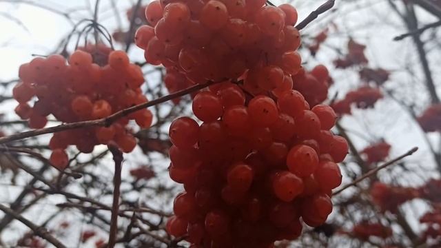 5 января праздник Федулов день. Главные запреты дня. Что нужно сделать. Народные приметы и традиции