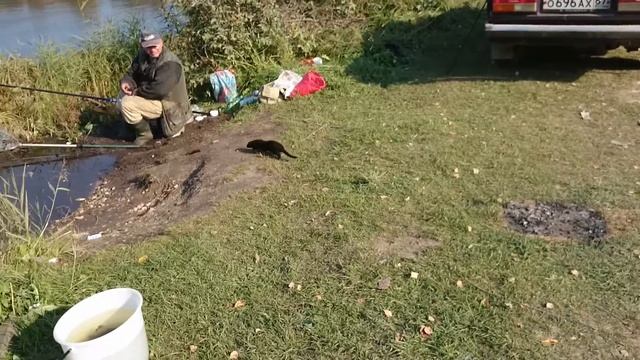 Наглый зверь норка смотреть онлайн