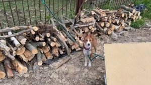 НАВОДИМ ПОРЯДОК НА ДАЧНОМ УЧАСТКЕ