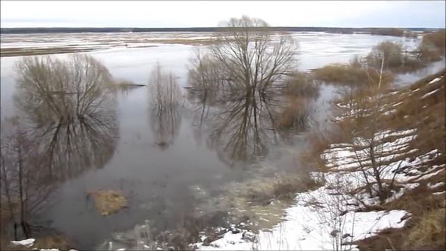 Мелекшино - Татаркино. Половодка на Проне