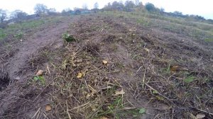 Перекопать сидерат культиватором...