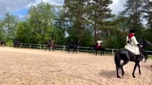 Кабардинская порода лошадей в Санкт Петербурге