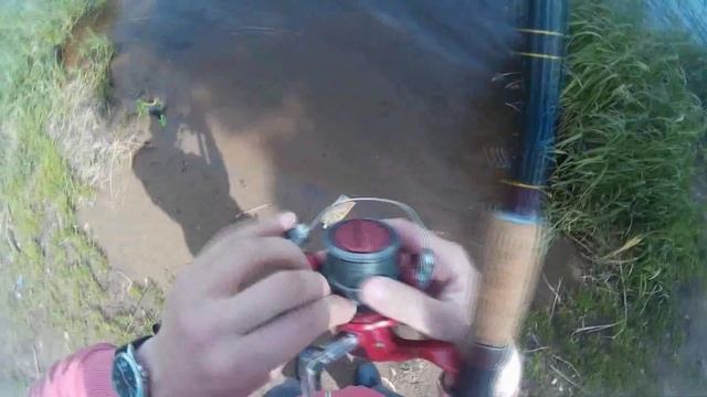 Не рыбный день на Сестрорецком разливе 24.06.2015 смотреть онлайн