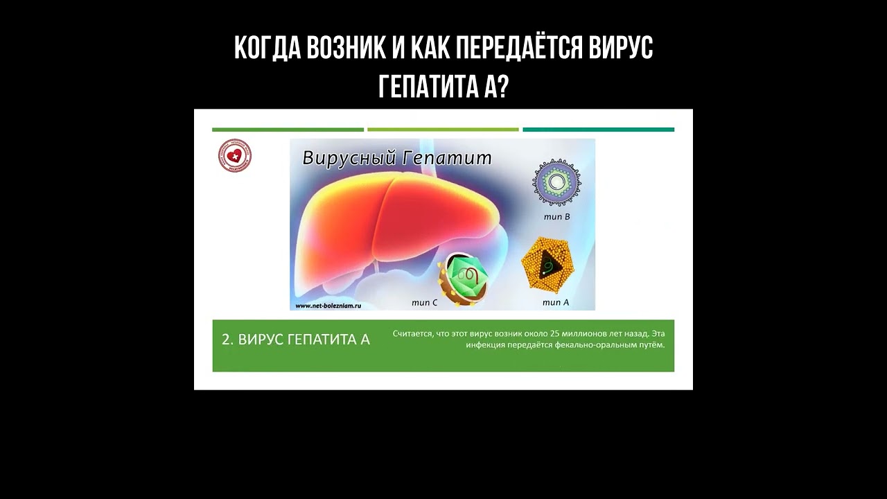 Когда возник и как передаётся вирус гепатита А? смотреть онлайн