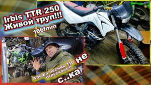 Irbis TTR 250 ЖИВОЙ ТРУП !!! и АЛЬФА ЛЕСНИК 110 НЕ УХОДИТ!