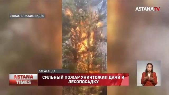 Дачи и 200 гектаров лесопосадки сгорели в Караганде смотреть онлайн