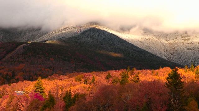 Autumn Leaving - Pavel Ruzhitsky ??????? (Amazing Music) @TatianaBlue смотреть онлайн