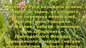 Народный праздник «Фёдор Житник». Приметы и традиции на 29 мая.
