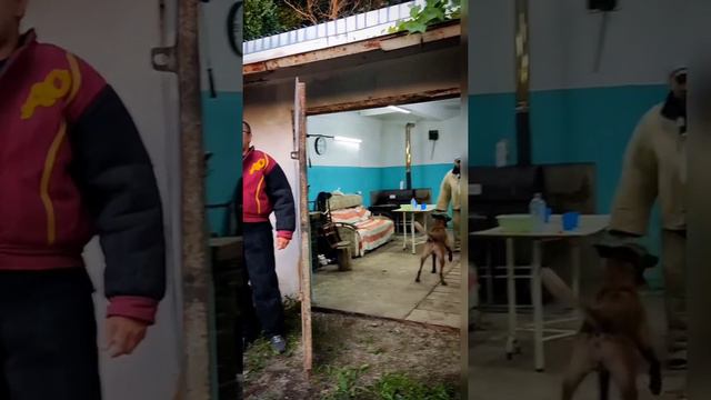 ЗАЩИТА ХОЗЯИНА смотреть онлайн