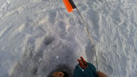 вытащил трёх щук на реке Байгора #зимняяловлярыбы #рыбалка #щука #липецк #рыбалка48