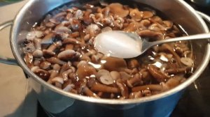 Маринованные опята-самый простой рецепт.Mushrooms.353