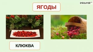 Естествознание Тема:Признаки Осени