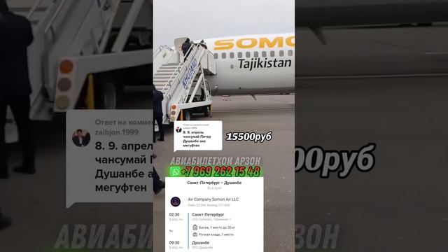 Санкт-Петербург Душанбе 15500₽