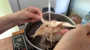 Быстрое ощипывание перепелов перосъемной машинкой Плакер