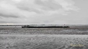 Binnenschiff GMS NECKAR DC2155 MMSI 211437100 4602690 BJ 1929 Emden inland cargo ship great Sound!