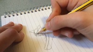 Рисую котов воителей часть 1# ОГНЕЗВЕЗД