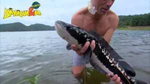 ДЕАГОСТИНИ ДЖУНГЛИ и КО МАКСИ ГИГАНТСКИЙ ЗМЕЕГОЛОВ DEAGOSTINI LISKA SHOW UNPACKING #14