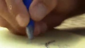 ДИРИЖАБЛЬ HINDENBURG