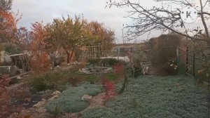 Краски осеннего Крымского парка. Обзор парка "Укромный" в ноябре 2022.