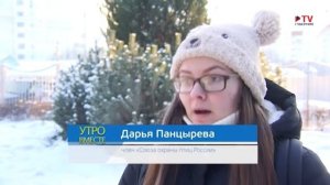 Популярная орнитология: щегол