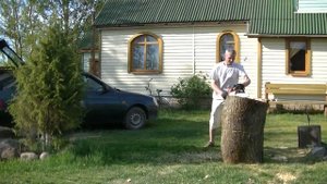 Кресло из пня