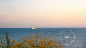 1, 2 и 3 неделя. Медитация Джо Диспенза. Сила подсознания. Части тела #аюмедитэйшн