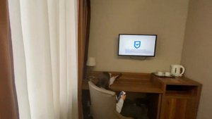 Обзор номера в гостинице Славянка г.Москва @гостиницаславянка