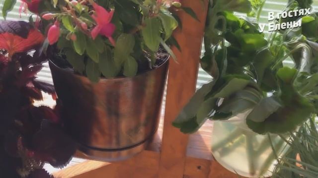 ЧУДО ОРГАНАЙЗЕР. ТЕРРАСА. ПОЧЕМУ ЗАКРЫЛИ. ПЛАНИРОВКА НА ОТКРЫТУЮ ТЕРРАСУ. смотреть онлайн