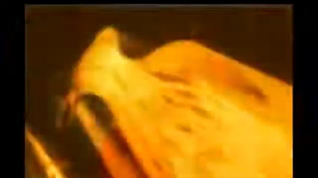 Жаннатнинг куриниши ва худо шохлиги.