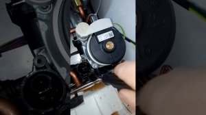 Протерм Рысь Конденсационная! Protherm lynx condens 30
