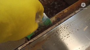 Чем отмыть Жир в столовой!? Тест разных жироудалителей.