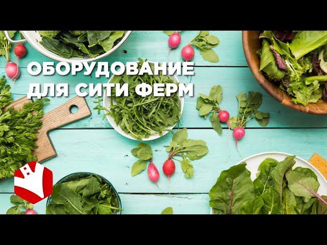 Агроинновации |Оборудование для сити ферм