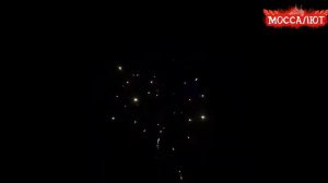 Батарея салютов Фантазия (Фейерверк 25 залпов) арт.  FP-B112