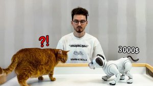 Заменил Своего Кота Роботом за 3000$ [TheBrianMaps].