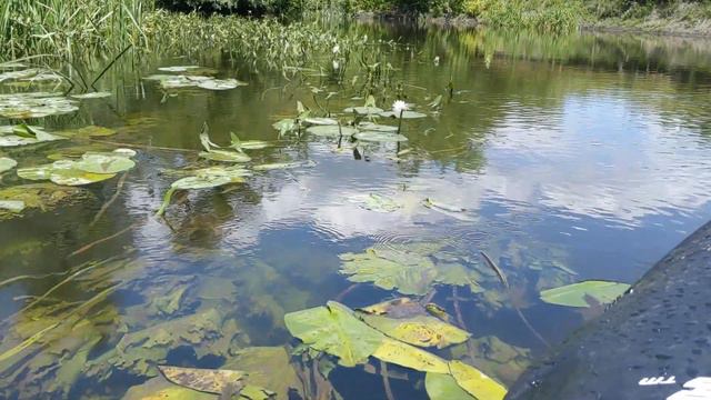 сплав по реке Северский Донецк -Нежеголь смотреть онлайн